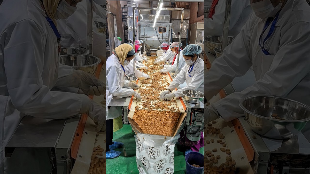 INDIA'S MOST HYGIENIC Almonds Processing  Factory😱😱 1 करोड़ रुपये के 20,000 किलो बादाम😳😳