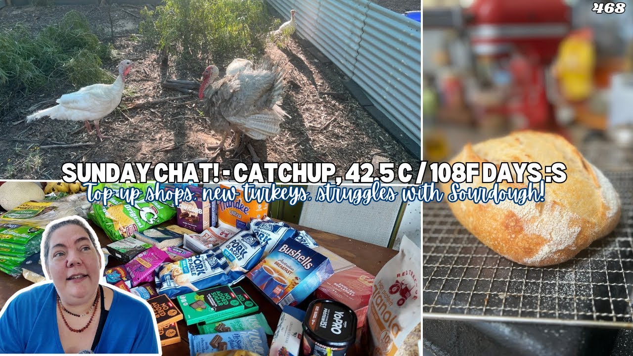 Top up Groceries - Sunday Chat - New Turkeys! Struggles with heat & Sourdough! - Off Grid Australia