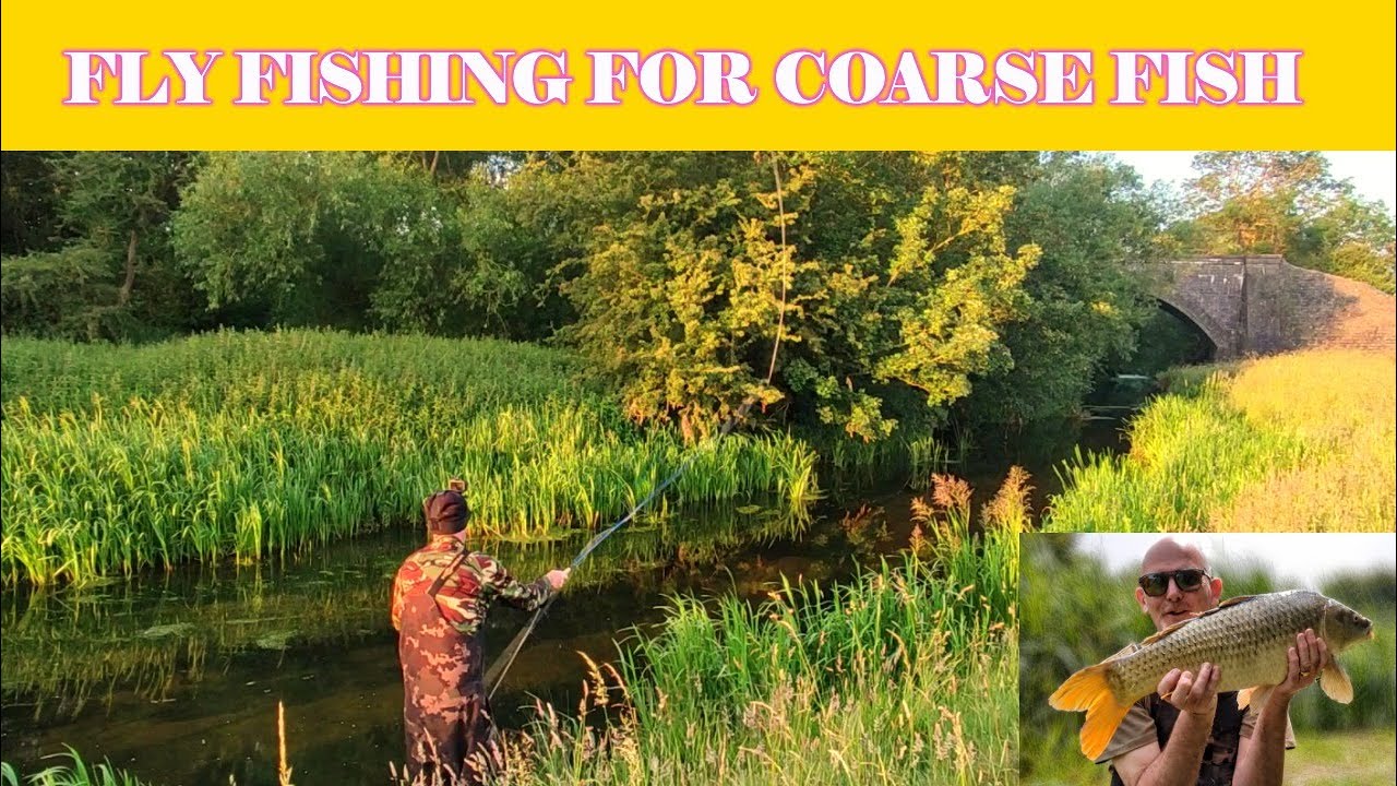 Fly fishing for Coarse fish