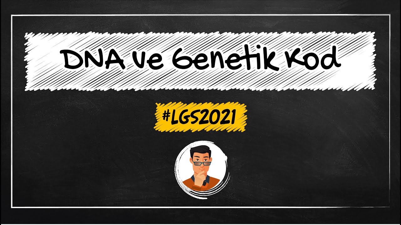 DNA ve Genetik Kod / LGS Kampı