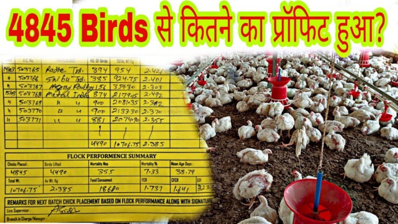 4845 Bird की कांट्रैक्ट फार्मिंग से कितने का Profit हुआ??
