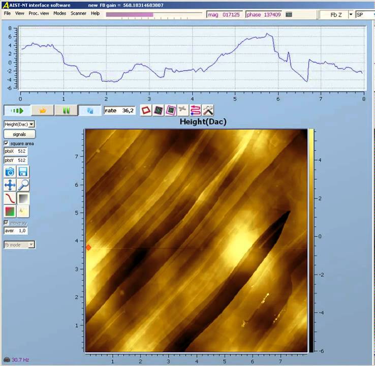 AFM High Speed Scanning from 10Hz up to 60Hz