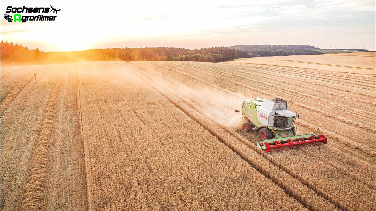 Ernte in Sachsen 2022 bei der AG Sayda | Claas Lexion 660 | Sachsens Agrarfilmer