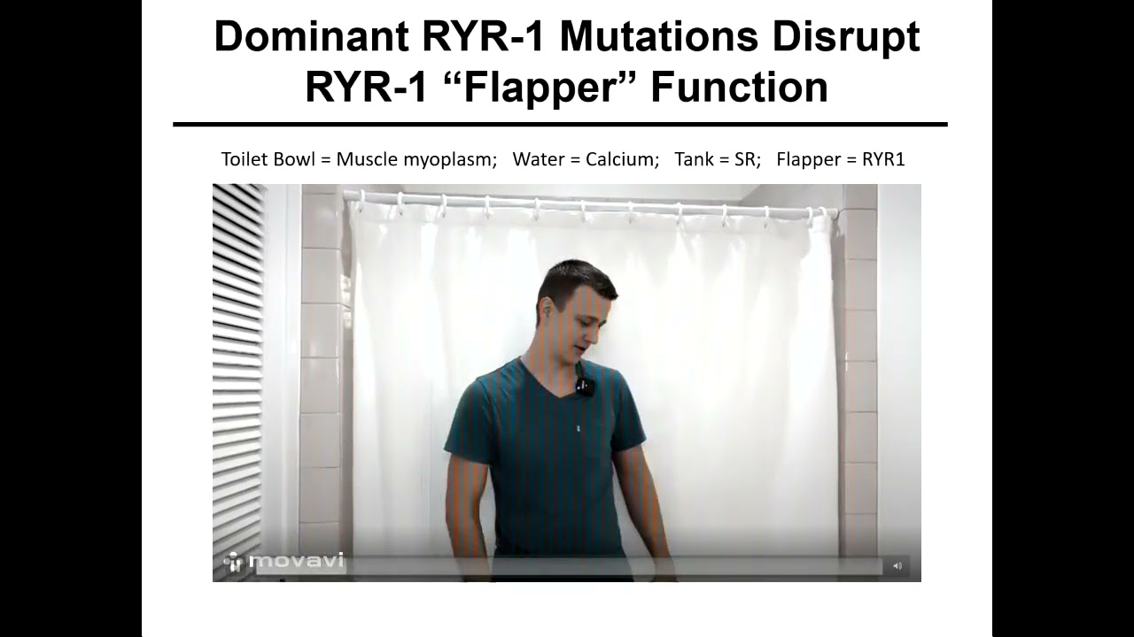 Mechanisms and Structure of RYR1 Variants