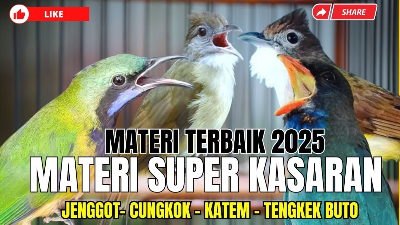 MATERI TERBAIK 2025!! KOMBINASI MEWAH KASARAN!! CUNGKOK KUNTI - JENGGOT BESET - TENGKEK BUTO - KATEM