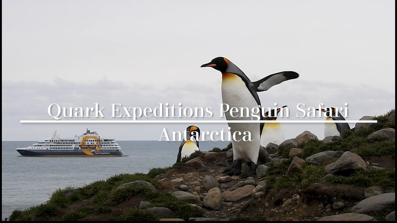Quark Expeditions Review | Antarctic Cruise Highlights