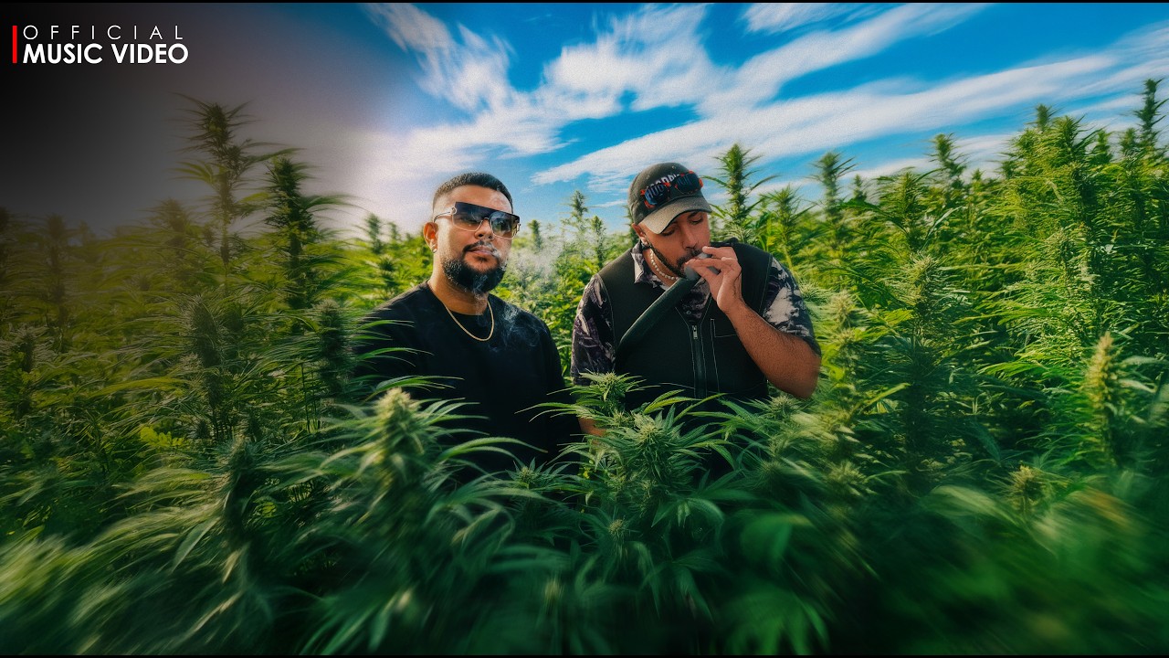 Costa x Kaizer Kaiz - Thanamalwila Kellek තණමල්විල කෙල්ලෙක් (Official Music Video)