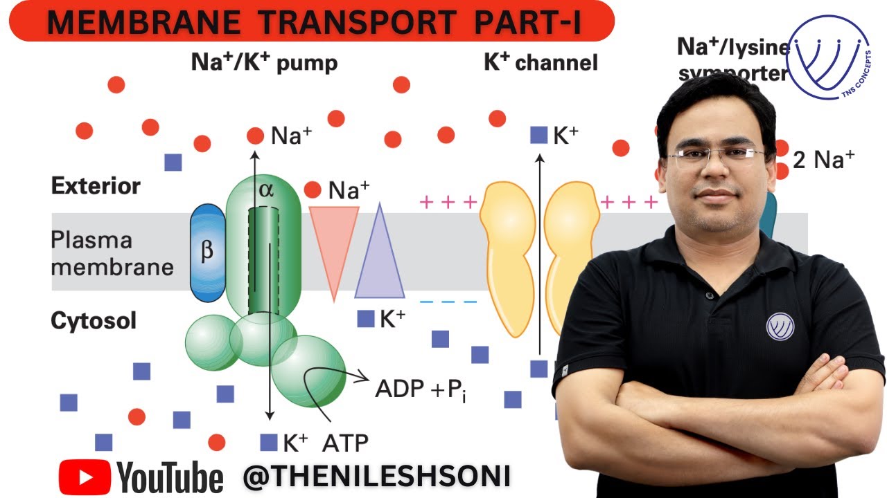MEMBRANE TRANSPORT | INTRODUCTION AND TYPES OF MEMBRANE TRANSPORT | CSIR NET CELL BIOLOGY