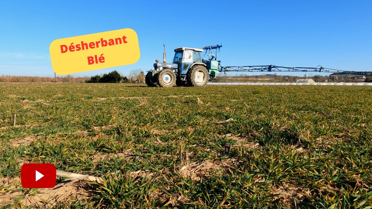 Désherbant Blé