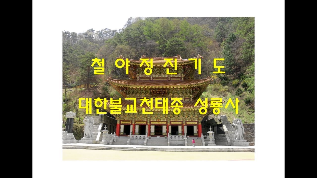 대한불교천태종 성룡사 갑진년 2차 백만독 참회정진기도 - 불기 2568년(서기 2024년) 11월 30일 오후 9시 (50일차) #대한불교천태종 #성룡사 #세운스님