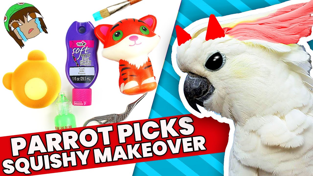 THE WORST CHOICES! My PARROT Picks My Squishy UnMakeover Supplies Challenge #4