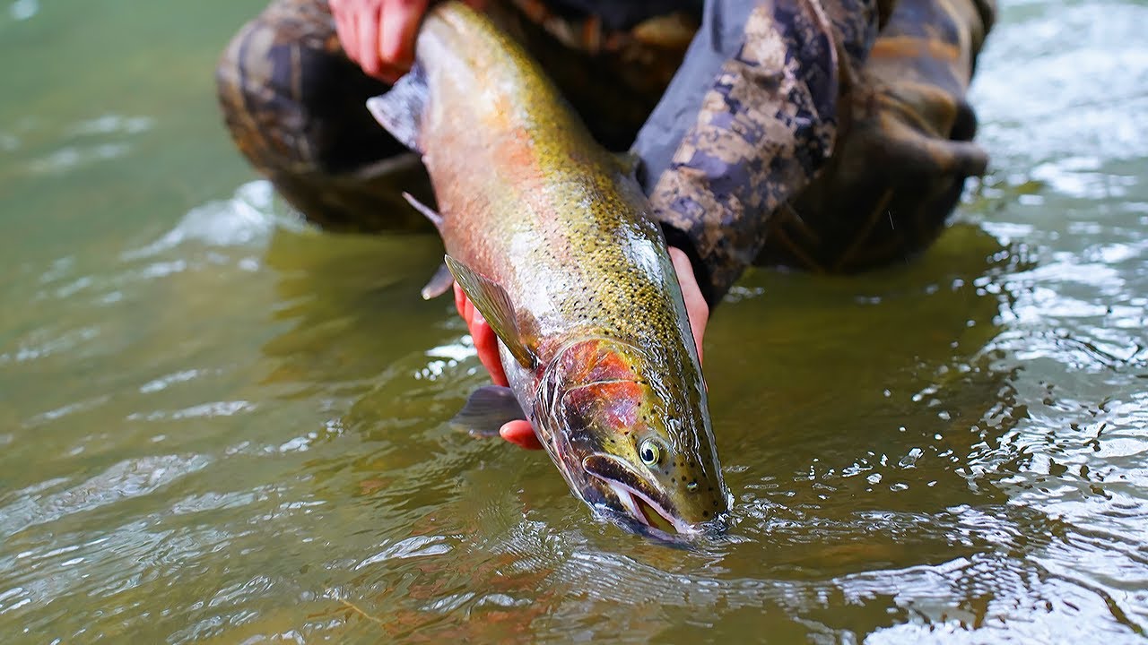 Winter Steelhead Fishing in a BLIZZARD - CRAZY CONDITIONS!! | BAD ASH OUTDOORS