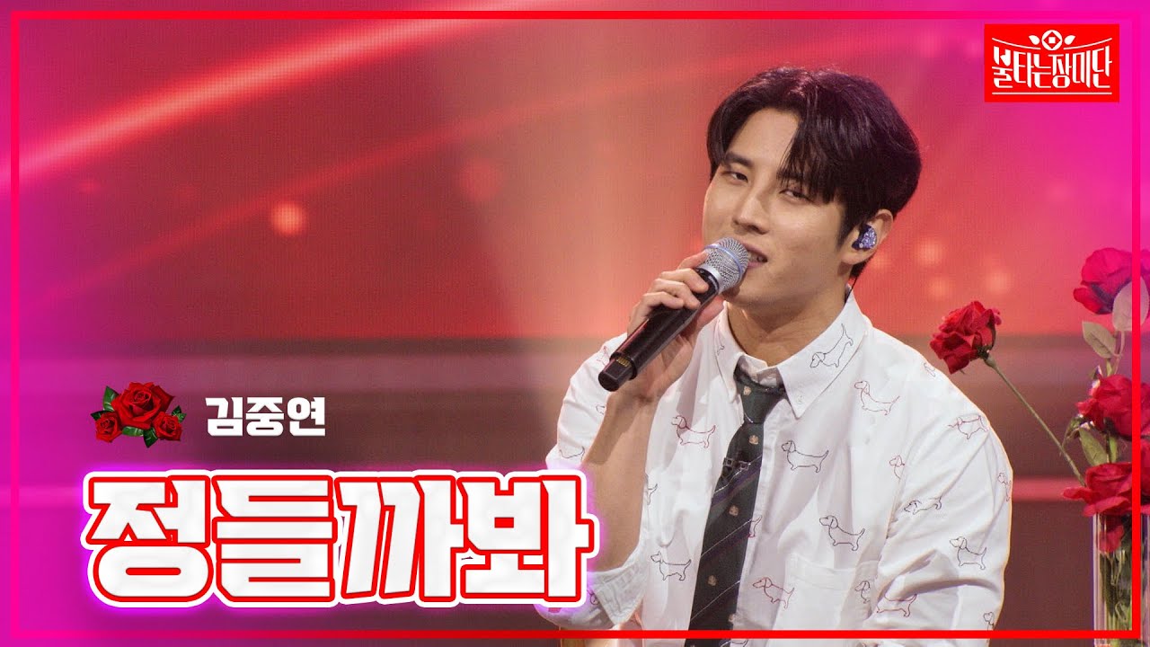 【클린버전】 김중연 - 정들까봐 |🌹불타는 장미단🌹240624