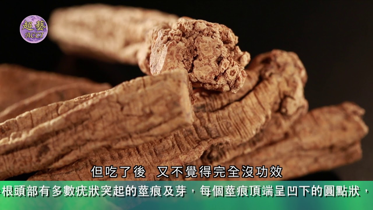 《世說本草》第95集：黨參 The Chinese Materia Medica for us All