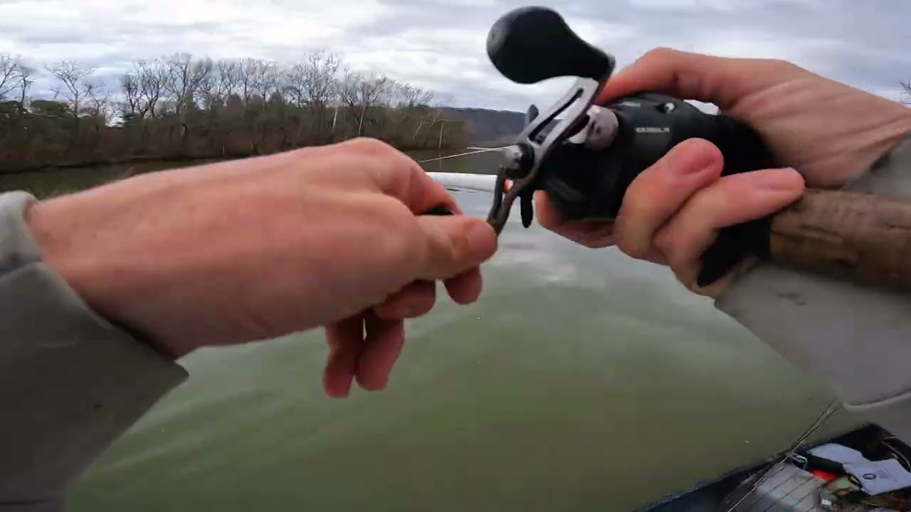 Earlier morning on the Holston River 