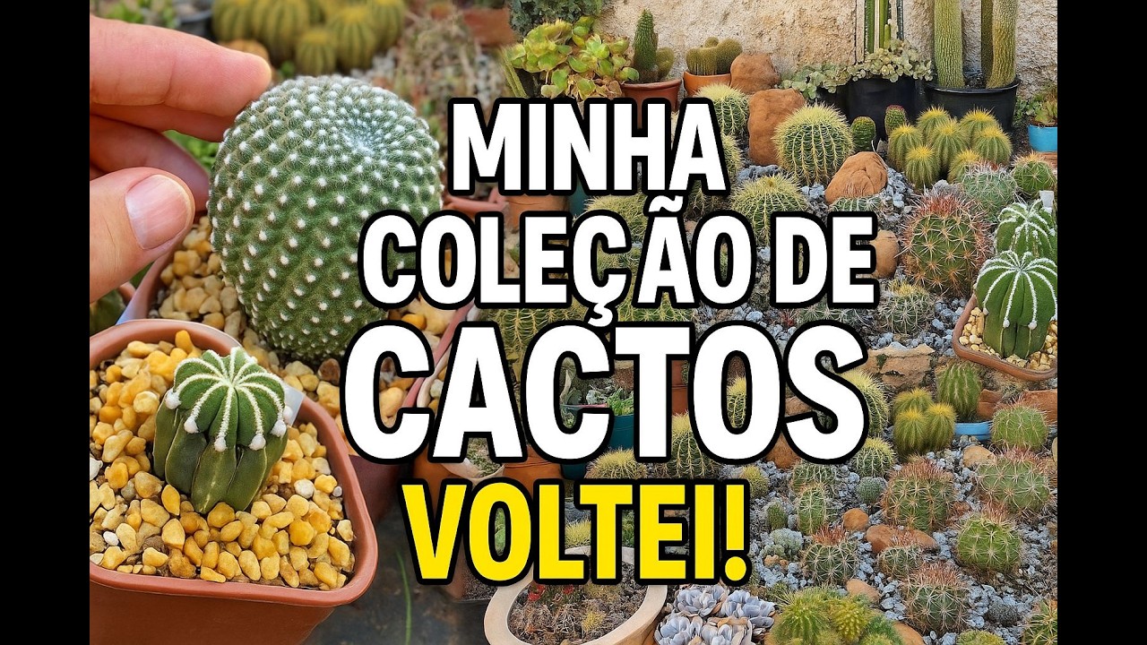 Voltei! Novidades na Minha Coleção de Cactos | Sulcorebutia, Aztekium e Muito Mais!