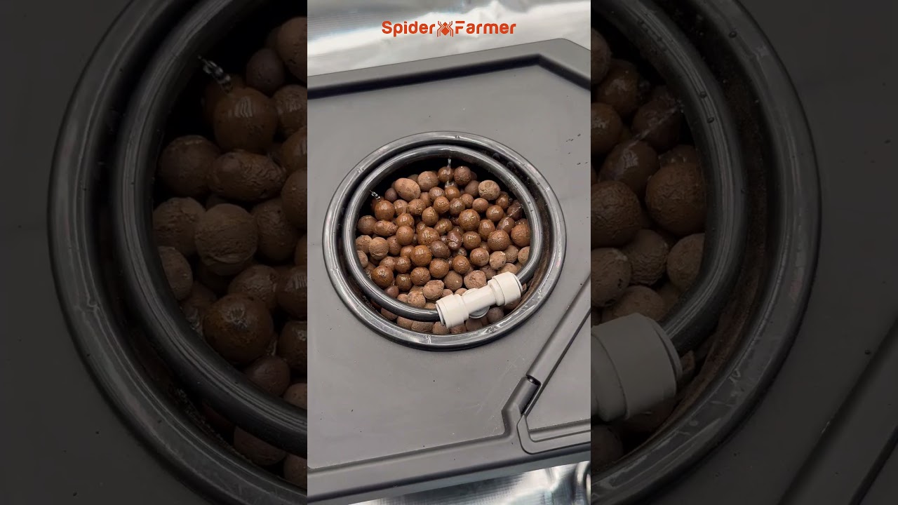 Smarten Up Your DWC Setup! 🌊✨ Precise Pump Control with GGS! #indoorgarden #ggs
