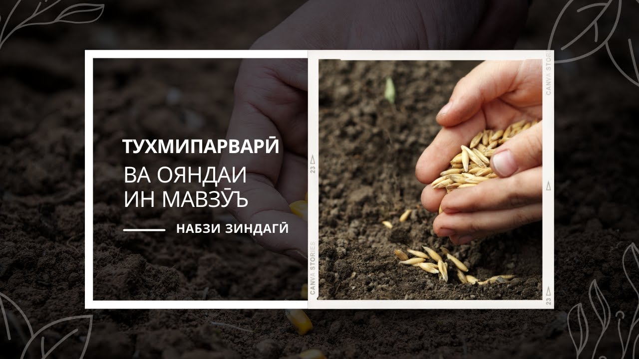 НАБЗИ ЗИНДАГӢ - ТУХМИПАРВАРӢ ВА ОЯНДАИ ИН МАВЗӮЪ