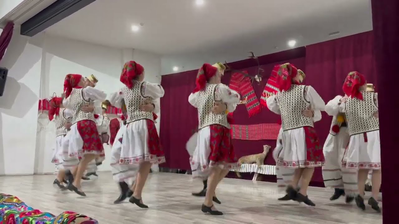 Dansuri Tradiționale din Țara Oașului - Spectacol de Culori și Ritmuri
