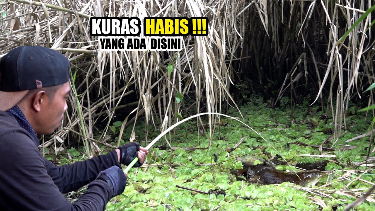 Nyarisss!!! Keberuntungan masih berpihak pada pemancing ini #SG-280
