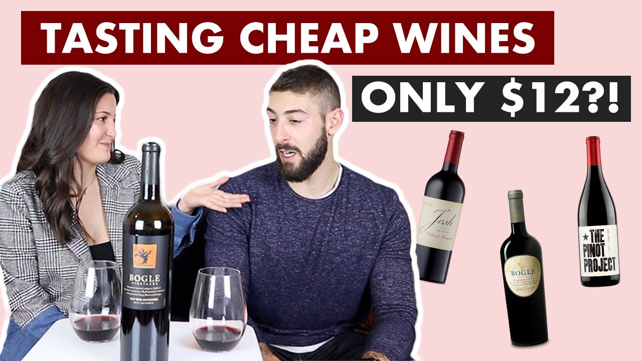 5 Best Budget Red Wines (ALL Under $15!!)