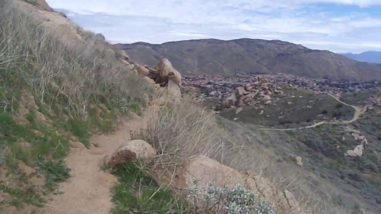 Old Clip: 3/20/18: Box Springs Mtns- Granite Spiny Lizard (Sceloporus orcuttii).