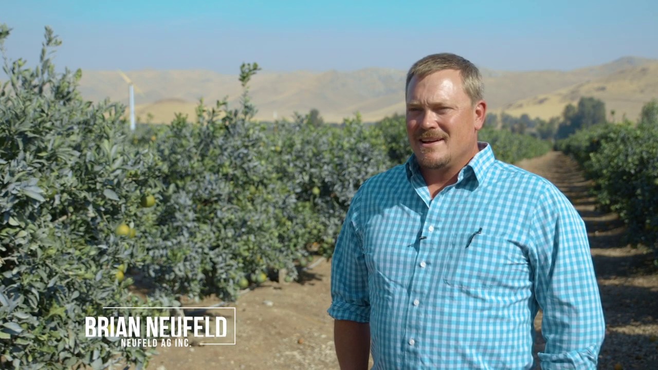 California Citrus - The Future is Bright