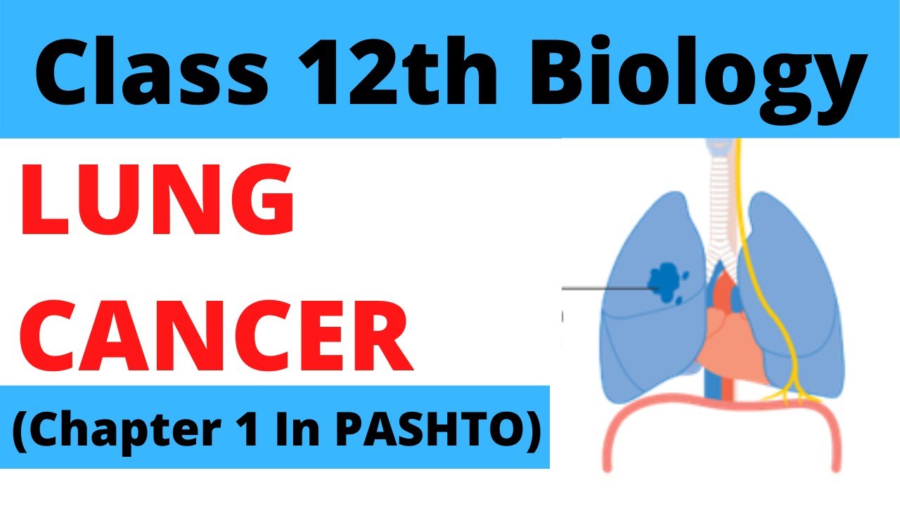Lung cancer, FSC biology part 2, Chapter 1 in pashto | Home of biology