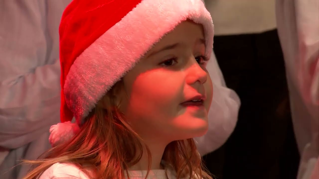 Per nadal, nadales | Isabel Besora - 'L'arbre de Nadal'