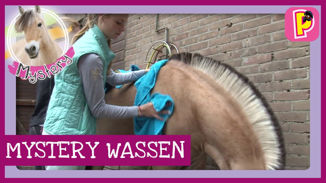 Penny leert jou.... Wassen