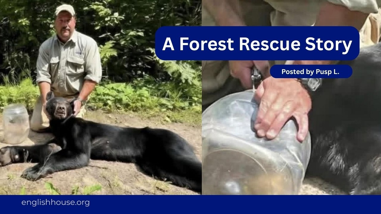 A Forest Rescue Story