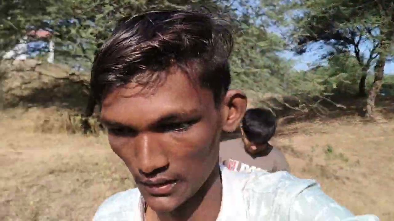 જંગલમાં ફરવા 