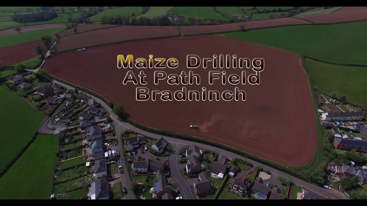 Maize Drilling - 5th May 2016