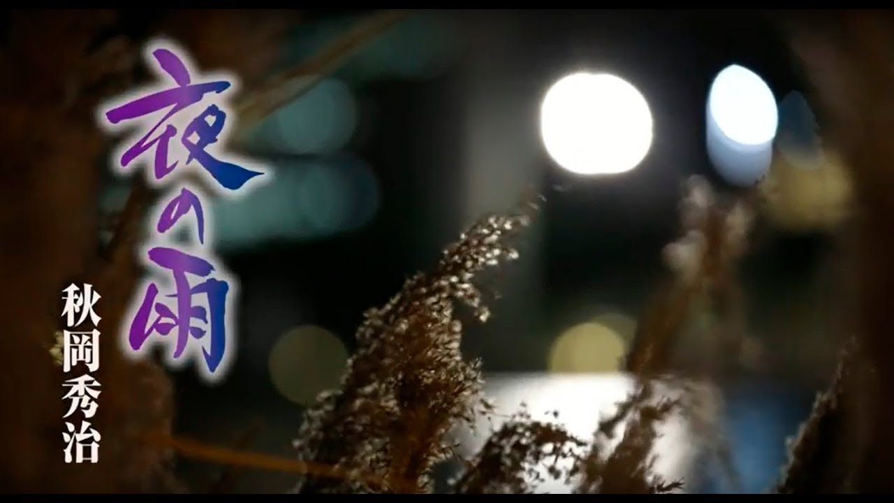 秋岡秀治「夜の雨」
