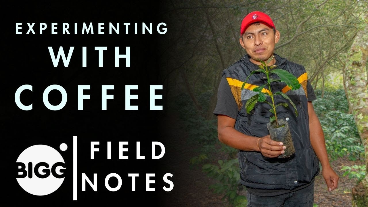 Experimenting with Coffee to Help Save the Planet | Field Notes