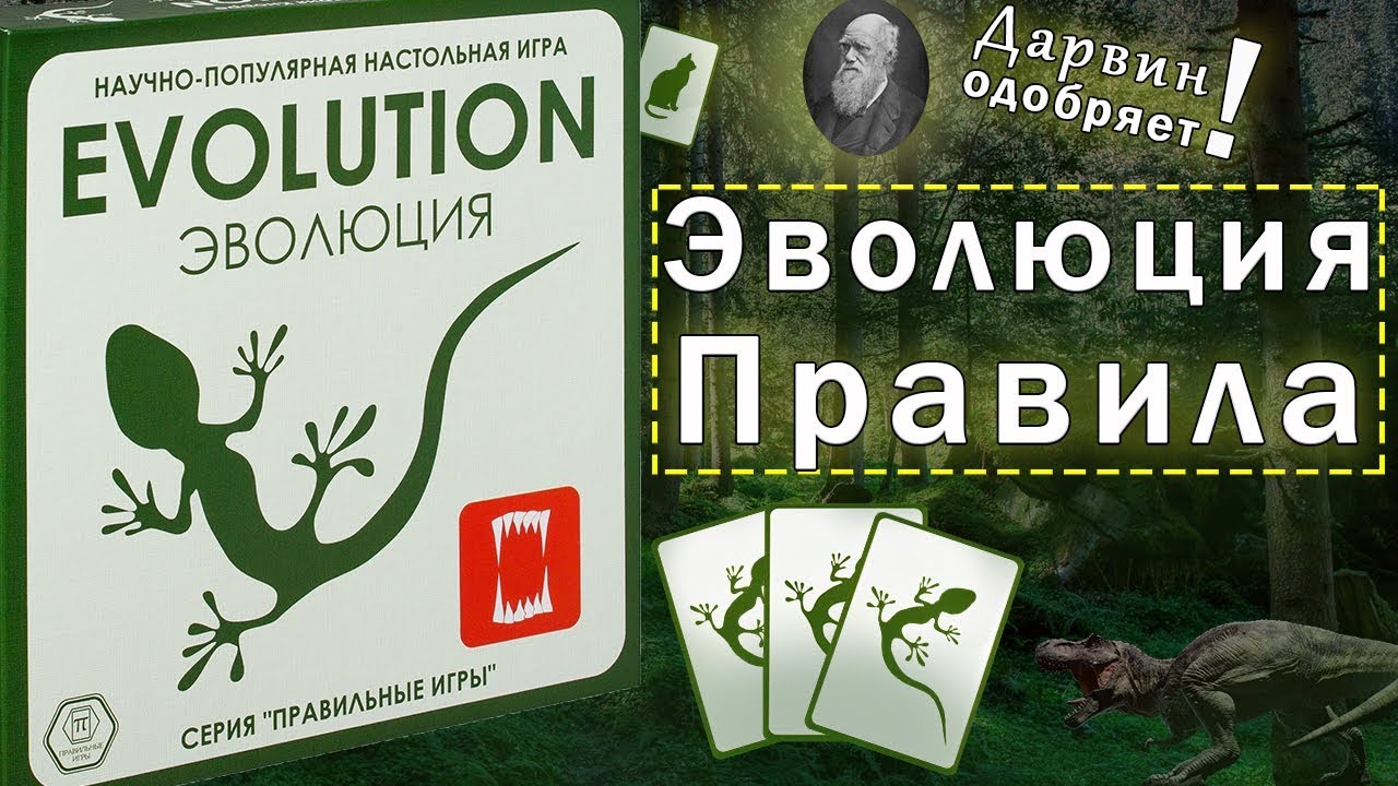 Как играть в настольную игру Эволюция?