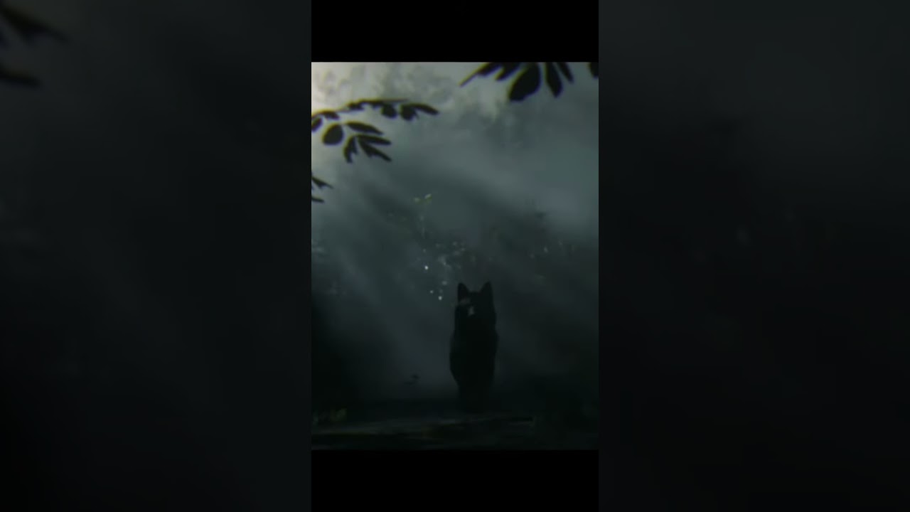 The Wolf of Redemption #ghost #ghostedit #reddeadonlinecharacter #maincharacter #oc #rdr2