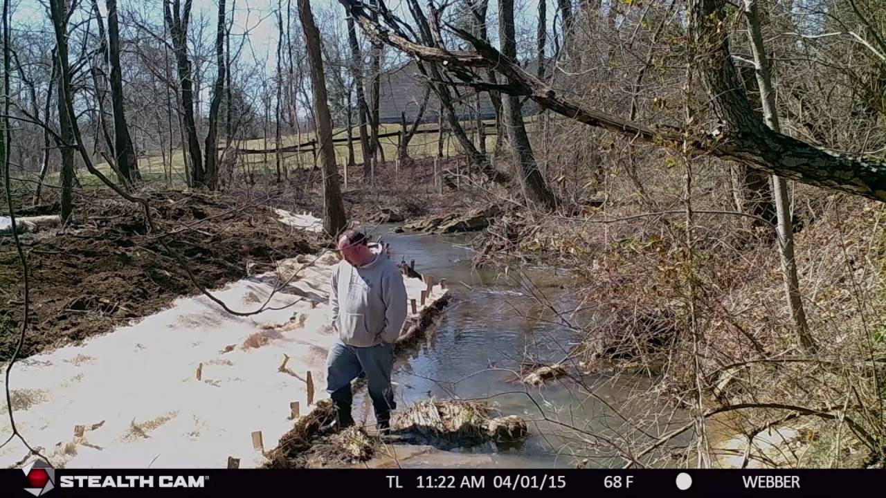 Stream Bank Stabilization on Mill Creek