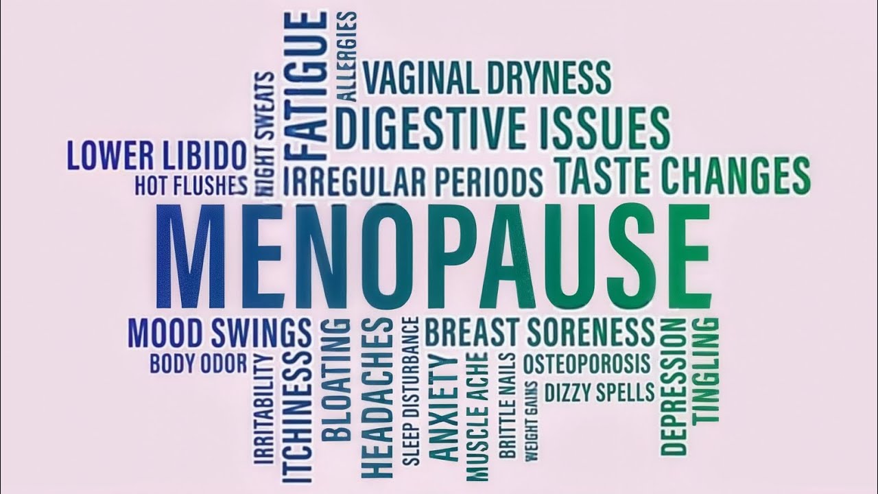 🦋  The Menopause Transition: A Guide 