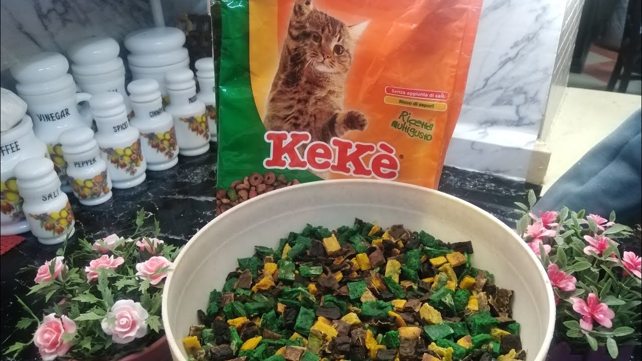عمل دراي فوود للقطط في المنزل🐈🥣