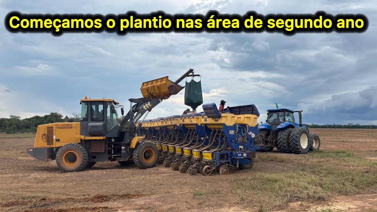 PLANTANDO AS ÁREA DE SEGUNDO ANO 