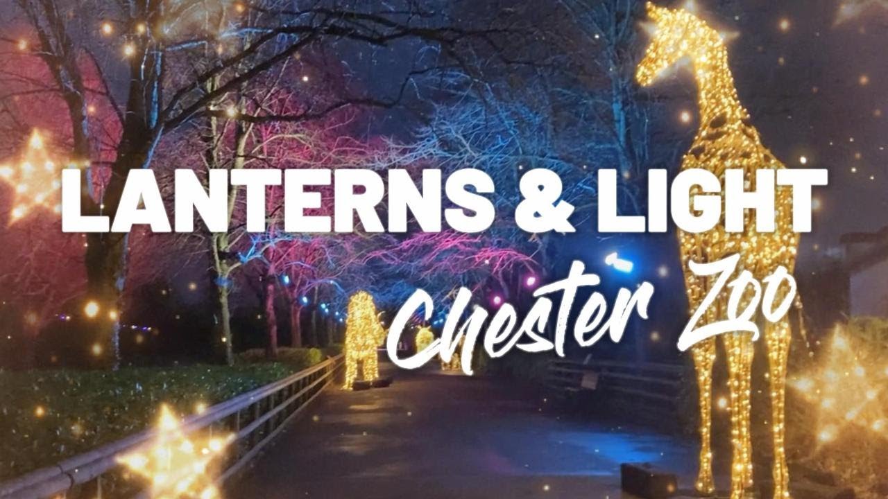 Lanterns and Light at Chester Zoo