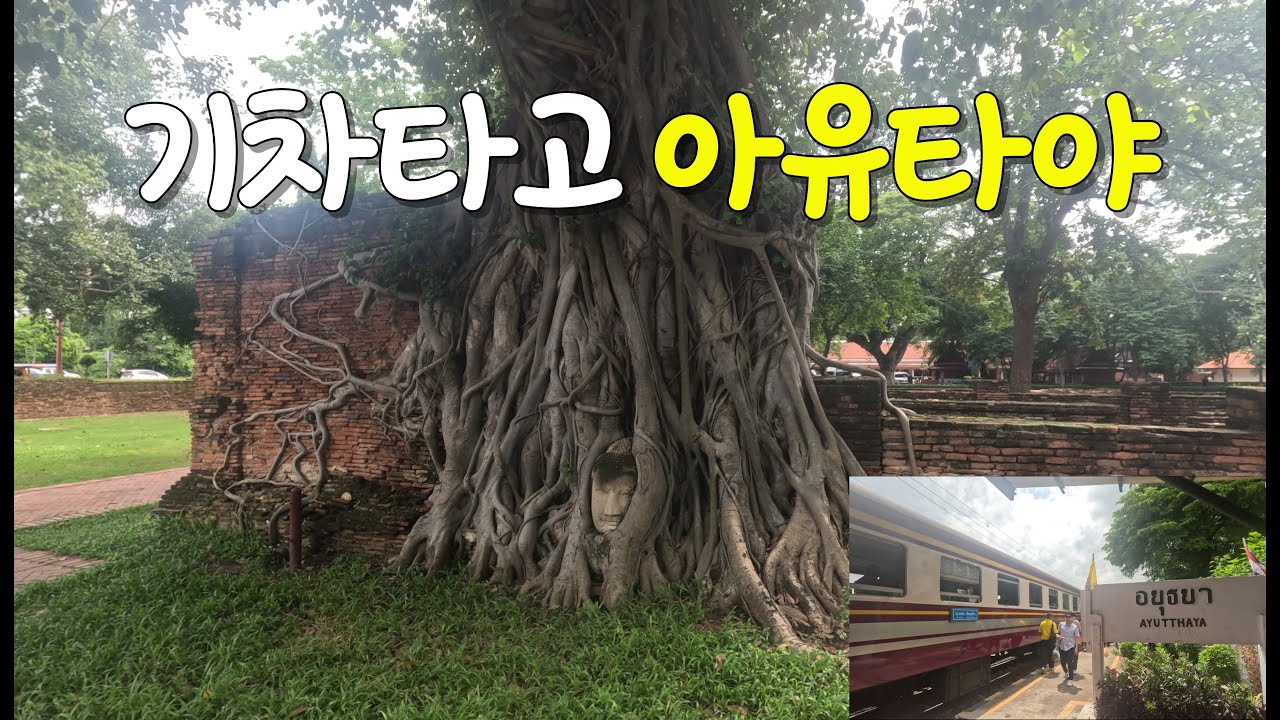 방콕에서 기차타고 아유타야 당일치기🚉 🚈