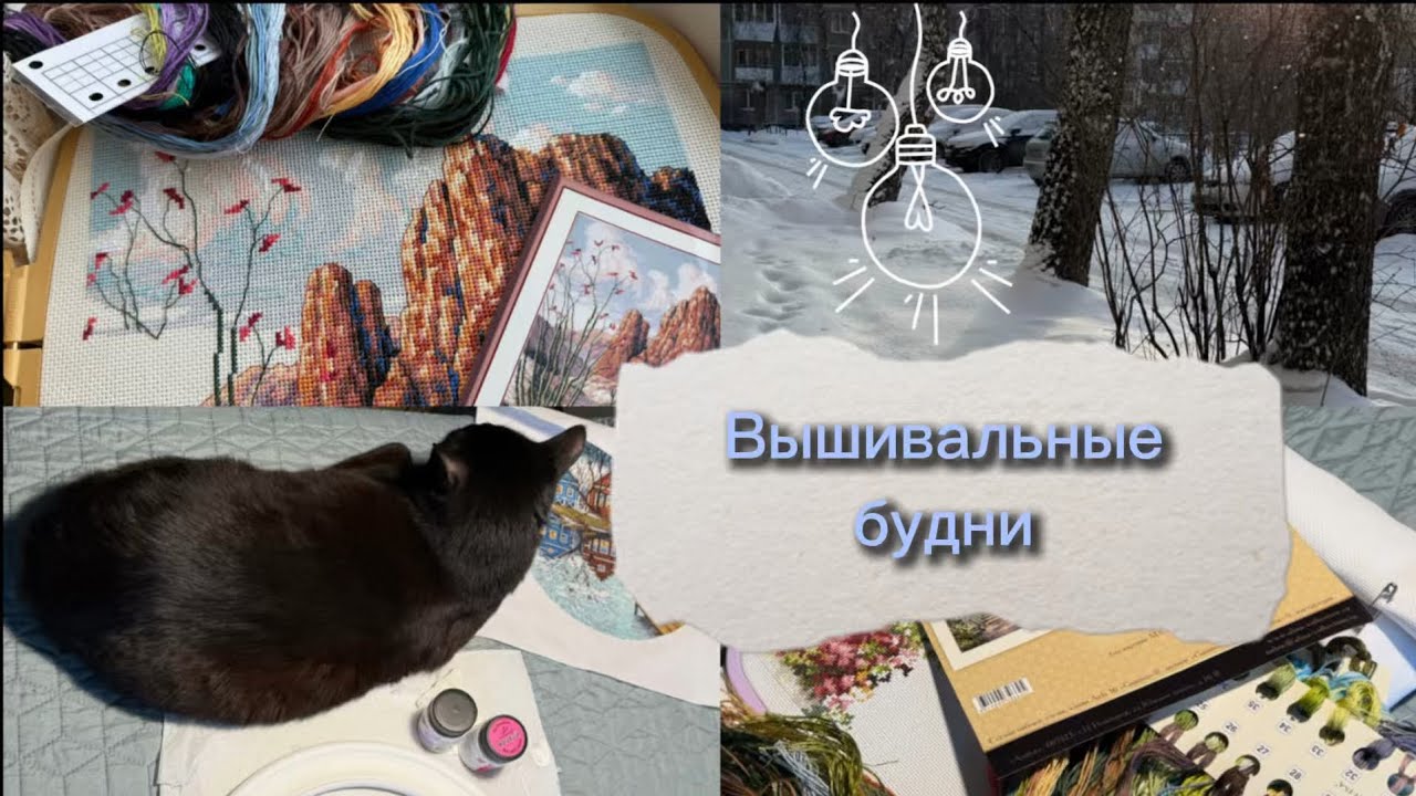 ВЫШИВАЛЬНЫЕ БУДНИ | старт, оформление и немного кактусов | вышивка крестиком 