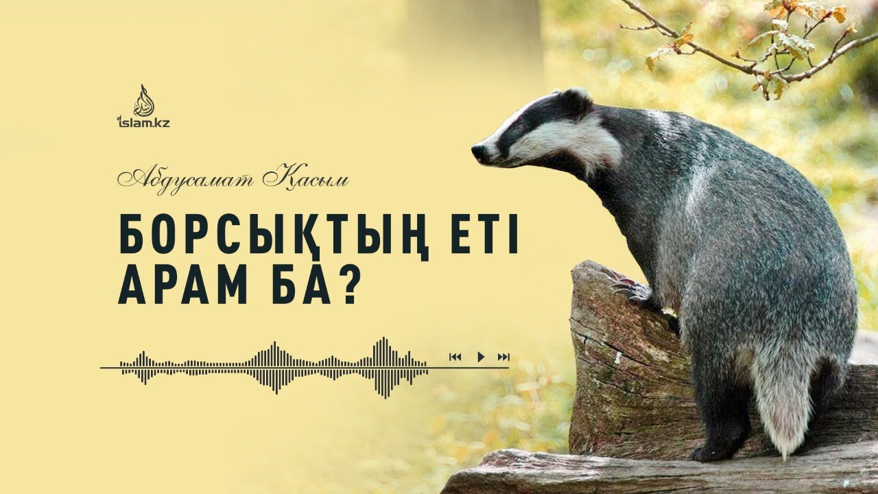 Борсықтың еті арам ба? / Абдусамат Қасым