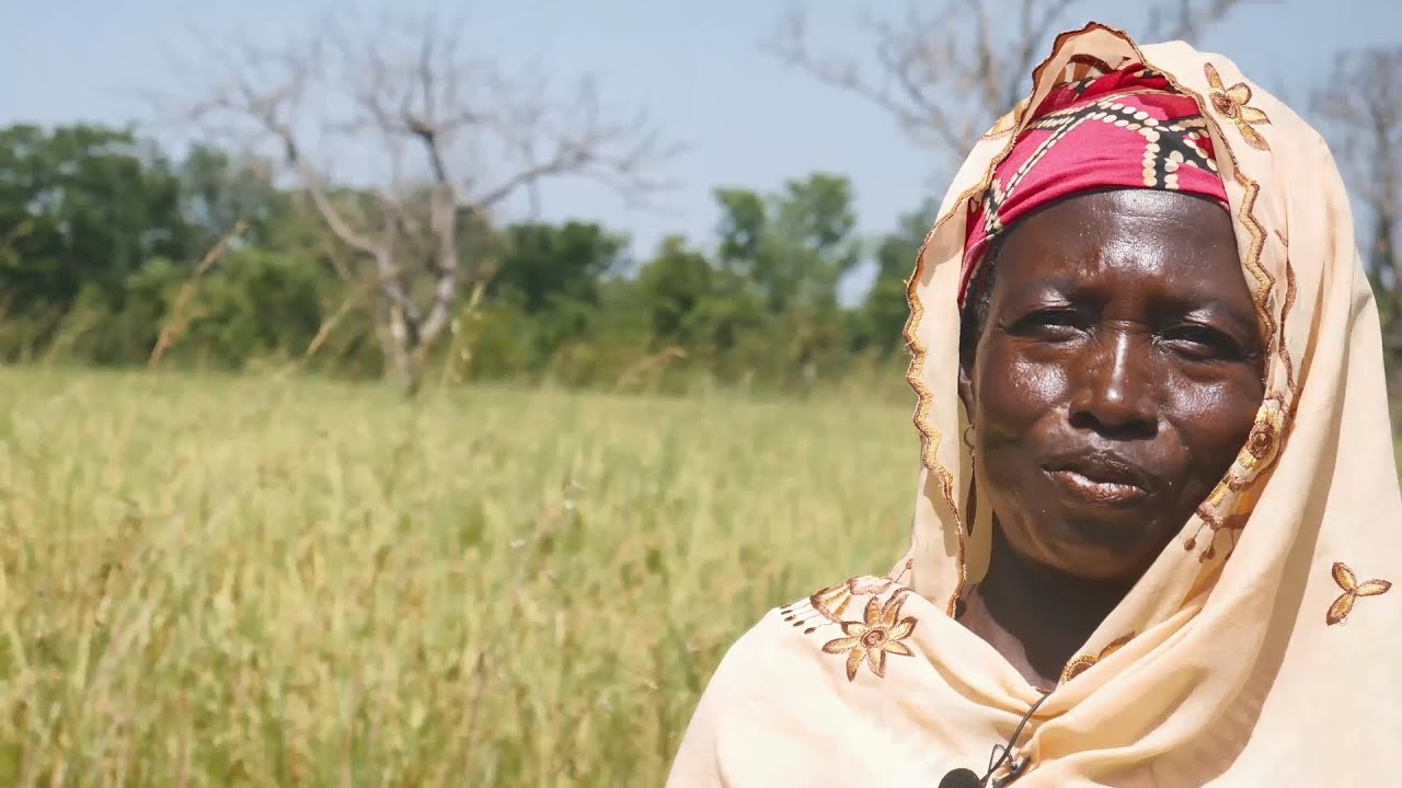 Agricultural Commercialisation in Ghana