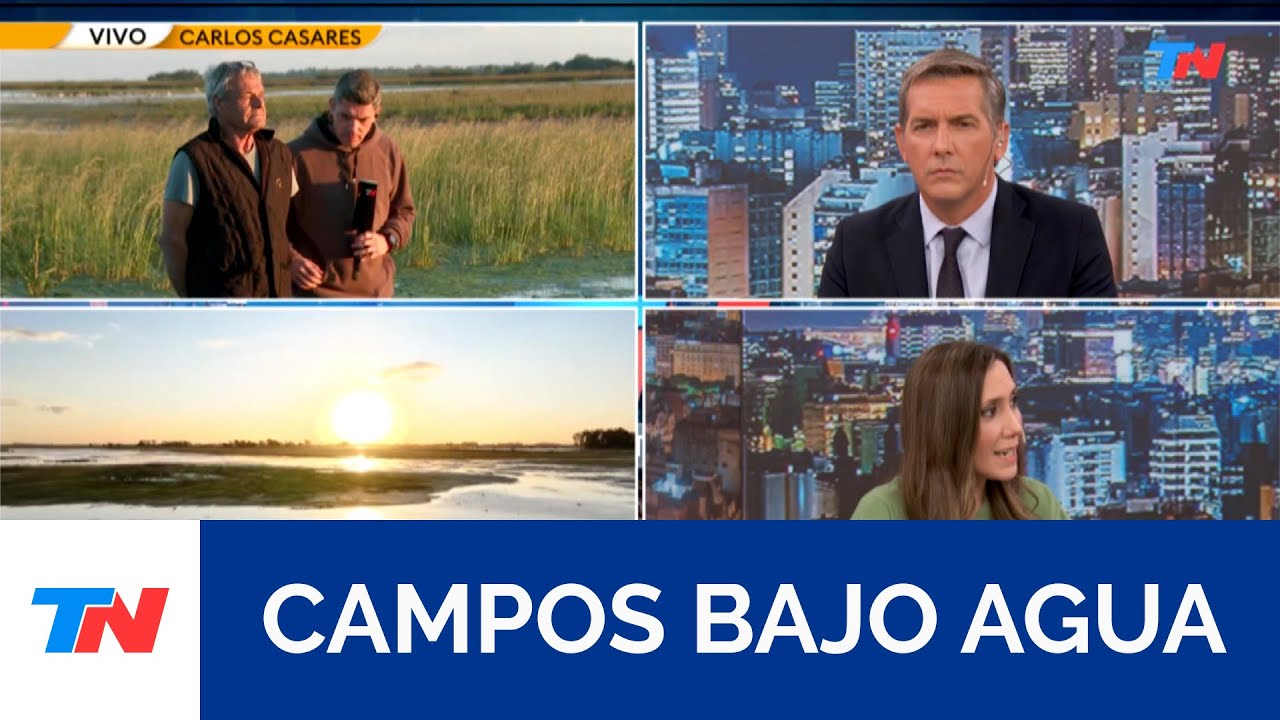 El drama de las inundaciones: 900 mil hect&aacute;reas muy afectadas y 4 millones con complicaciones