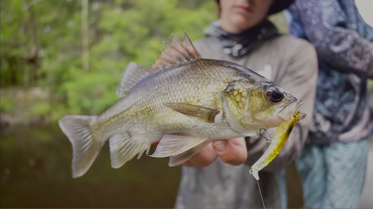 The FURTHEST we have been | TOPWATER Bass seq