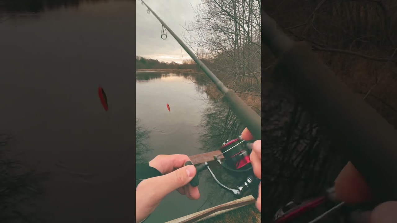 Testing the savage gear sg4 power game 8,6 35-100g