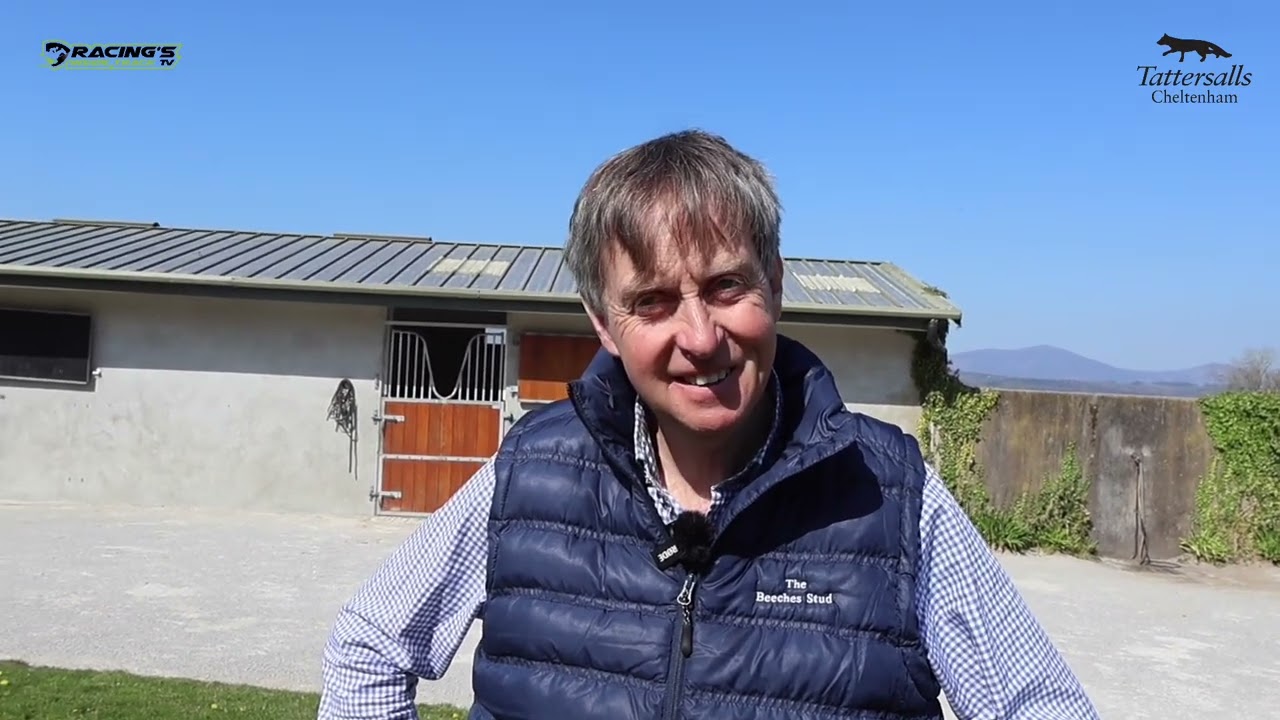 A visit to The Beeches Stud to see Crystal Ocean, Idaho, Luxembourg & more
